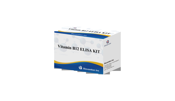 Vitamin B1 Elisa Test Kit Tes Hewan Penelitian Produk Terkait Enzim