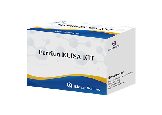 Ferritin Elisa Test Kit Produk Terkait Enzim Waktu Pengangkutan Pendek Kualitas Tinggi