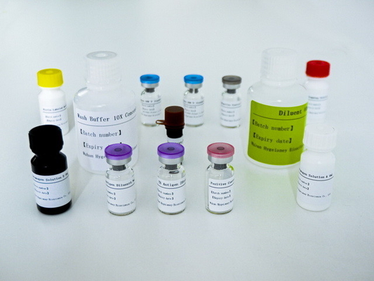 Kit Tes ELISA IGRA yang Mudah untuk TB dengan Masa Pelayaran yang Panjang dan Metode Konservasi 2C-8C