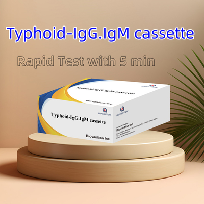 Hot Sale Tifus IgM IgG Untuk Laboratorium Rumah Sakit Demam Tifus Kit Tes Darah Cepat