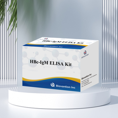 Tes Reagen Diagnostik HBc IgM dengan Akurasi Tinggi Dengan Kit Uji Imunosorbent Terkait Enzim