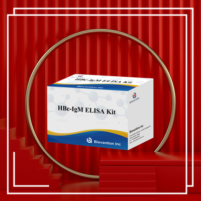 Tes Reagen Diagnostik HBc IgM dengan Akurasi Tinggi Dengan Kit Uji Imunosorbent Terkait Enzim