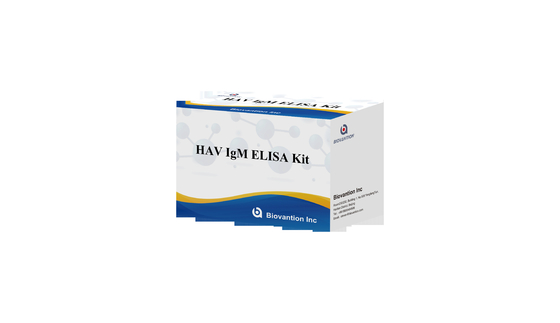 HAV IgM Elisa Test Hepatitis Kit Diagnostik In Vitro Immunoassay