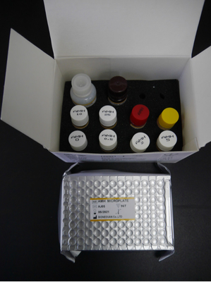 Anti-Mullerian hormon AMH Elisa Test Kit Untuk penggunaan pada manusia dengan Serum Plasma