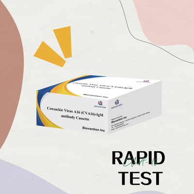 Reagen diagnostik CVA16 IVD Virus Coxsackie A16 CVA16-IgM Antibodi Cassette WB/S/P Tes cepat emas koloid