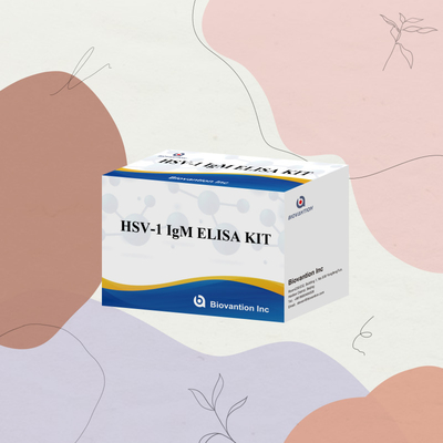 HSV-1 IgM Diagnosis Medis Elisa Test Kit dengan Masa Pelayaran 18 Bulan Asal