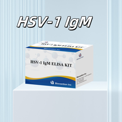 HSV-1 IgM Diagnosis Medis Elisa Test Kit dengan Masa Pelayaran 18 Bulan Asal