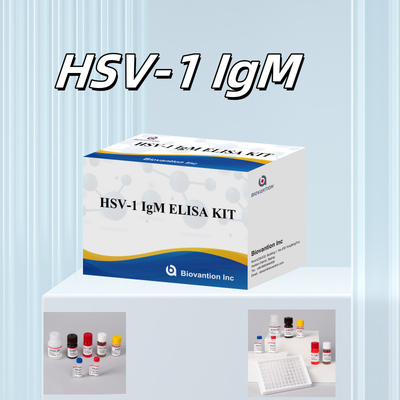 HSV-1 IgM Diagnosis Medis Elisa Test Kit dengan Masa Pelayaran 18 Bulan Asal