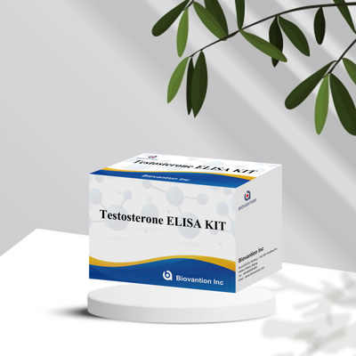 Tes diagnostik penyakit manusia Test osterone Elisa Test Kit dengan 96 tes untuk rumah sakit