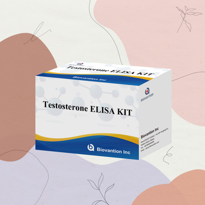 Tes diagnostik penyakit manusia Test osterone Elisa Test Kit dengan 96 tes untuk rumah sakit