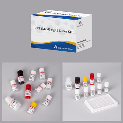 Biovantion Sensitivity CRP Elisa Test Kit Stabil pada 2-8.C Spesifik untuk hasil yang akurat