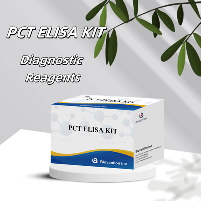 PCT presisi tinggi untuk metode ELISA reagen deteksi manusia dengan tes 96 untuk rumah sakit