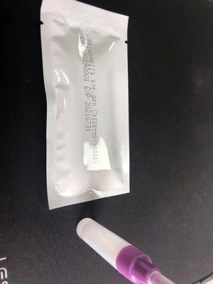 Salmonella IgG/IgM Rapid Test Cassette S.Typhoid Kit Diagnostik Mudah Digunakan