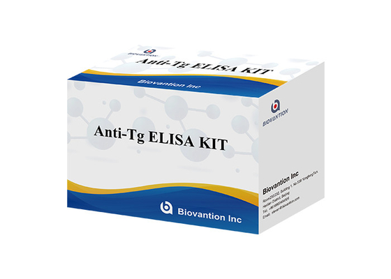 Anti-Tg ELISA Test Kit Thyroglobulin Ab In Vitro Penentuan Kuantitatif