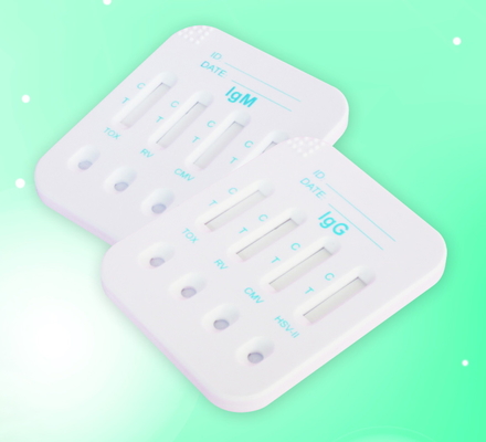 Biovantion HBsAg HCV HIV Sifilis 4 In 1 Kartu Tes Cepat Untuk Tes Manusia 96 Tes Operasi Mudah