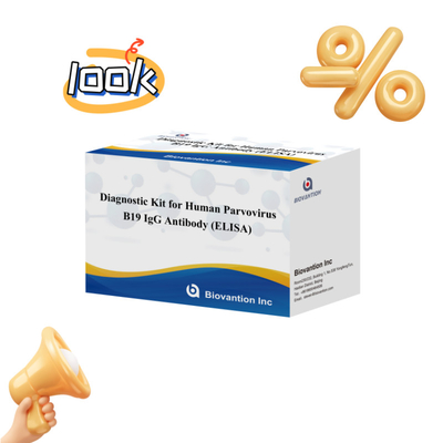 Pabrik Jual Langsung Kit B19 ELISA Untuk Manusia Parvovirus B19 IgM Antibodi Elisa Test Kit Dengan 96T