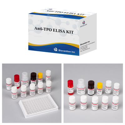 Kit Diagnostik Untuk ManusiaAnti-TPO Untuk Rumah Sakit Dan Laboratorium Dengan 96 Tes