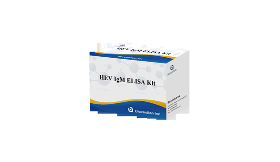 Kit Tes Antibodi Laboratorium atau Rumah Sakit IgG Untuk Hepatitis E Virus HEV Elisa