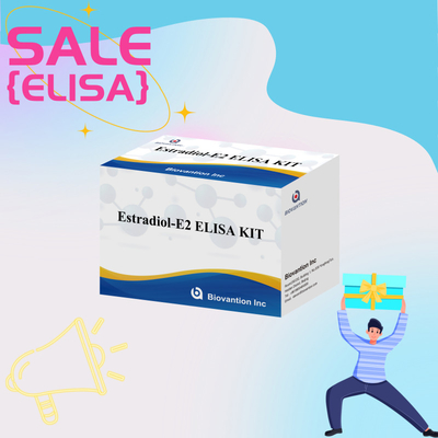 Harga pabrik E2 ELISA Test Kit In Vitro Deteksi Medis Deteksi presisi tinggi