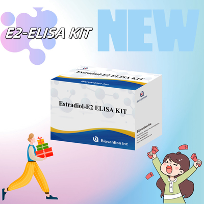 Harga pabrik E2 ELISA Test Kit In Vitro Deteksi Medis Deteksi presisi tinggi