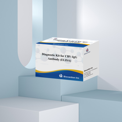Antibodi CBV-IgG yang sangat spesifik untuk mendeteksi Elisa Kits untuk mendeteksi target Analyte secara akurat