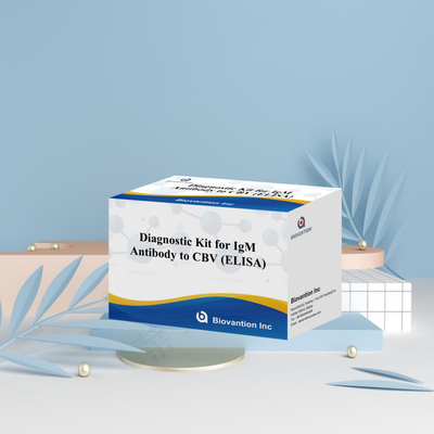CBV igm ELISA KIT D Reagen diagnostik 18 Bulan Shelf Life Tes Assay Immunosorbent Terkait Enzim