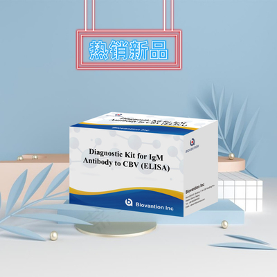 CBV igm ELISA KIT D Reagen diagnostik 18 Bulan Shelf Life Tes Assay Immunosorbent Terkait Enzim
