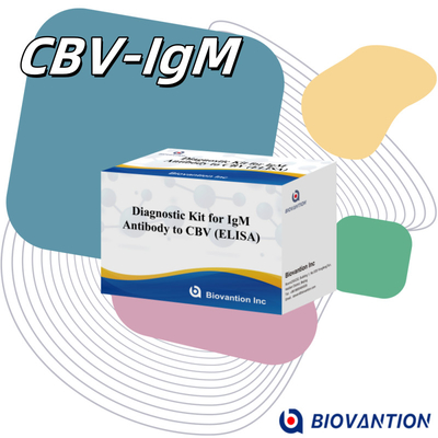 CBV igm ELISA KIT D Reagen diagnostik 18 Bulan Shelf Life Tes Assay Immunosorbent Terkait Enzim