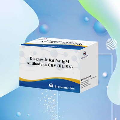 CBV igm ELISA KIT D Reagen diagnostik 18 Bulan Shelf Life Tes Assay Immunosorbent Terkait Enzim