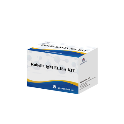 Elisa Test Kit Untuk Rubella Alat Deteksi IgM Untuk Rubella IgG Antibodi Dalam Penggunaan Manusia