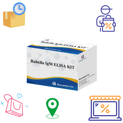 Elisa Test Kit Untuk Rubella Alat Deteksi IgM Untuk Rubella IgG Antibodi Dalam Penggunaan Manusia