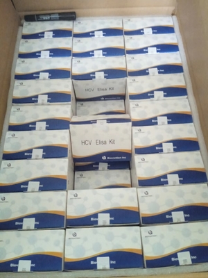 Antibodi HCV terhadap Virus Hepatitis C Waktu Transportasi Terkait Enzim Pendek