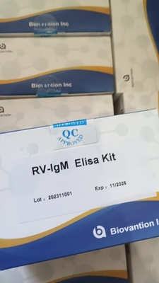 Sensitivitas RV-M Elisa Rapid 2-3 jam waktu tes untuk hasil yang akurat