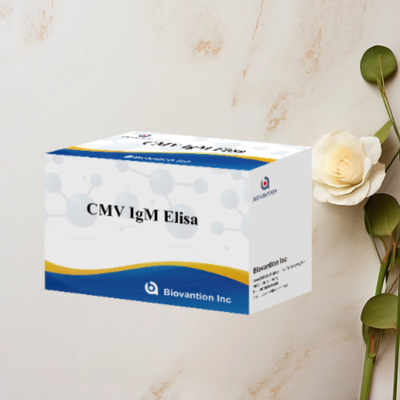 CMV IgM ELISA Kit Tes Pencegahan Wanita Hamil Keakuratan Tinggi