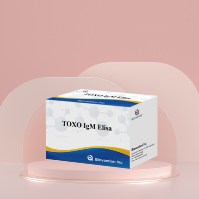 TOXO IgM Elisa Kit Untuk Penggunaan Manusia Kit Uji Reagen Diagnostik Dengan 96 Kit