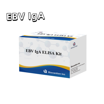 EBV HUMAN ELISA Test Kit 2-8°C Sensitivitas Kit Diagnostik Untuk IgA Antibodi Untuk EBV-EA