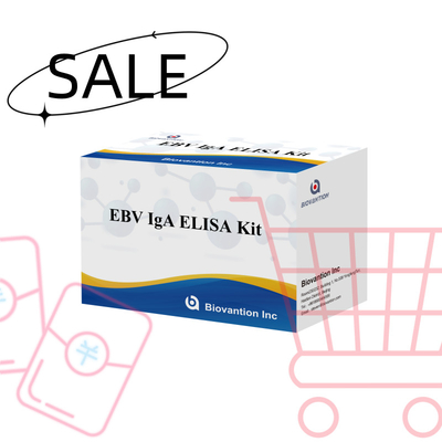 EBV HUMAN ELISA Test Kit 2-8°C Sensitivitas Kit Diagnostik Untuk IgA Antibodi Untuk EBV-EA
