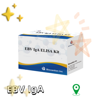 EBV HUMAN ELISA Test Kit 2-8°C Sensitivitas Kit Diagnostik Untuk IgA Antibodi Untuk EBV-EA