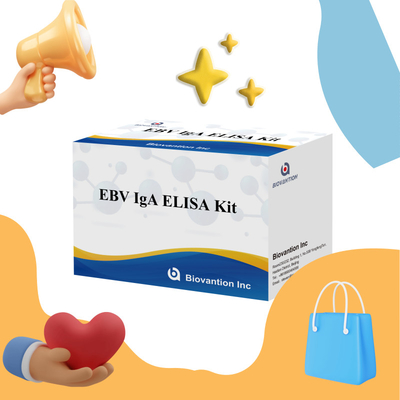 EBV HUMAN ELISA Test Kit 2-8°C Sensitivitas Kit Diagnostik Untuk IgA Antibodi Untuk EBV-EA