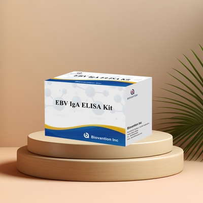 EBV HUMAN ELISA Test Kit 2-8°C Sensitivitas Kit Diagnostik Untuk IgA Antibodi Untuk EBV-EA
