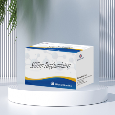 IVD Reagen SF Ferr Kit Tes ELISA Instrumen Veteriner Untuk Deteksi Kuantitatif Serum Ferritin Diagnosis
