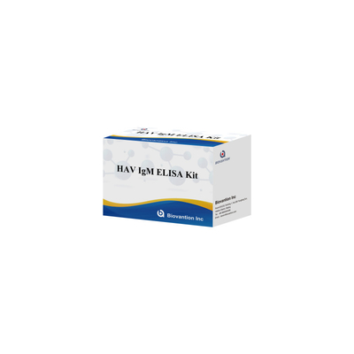 HAV IgM ELISA Test Kit Reagen Diagnostik Manusia