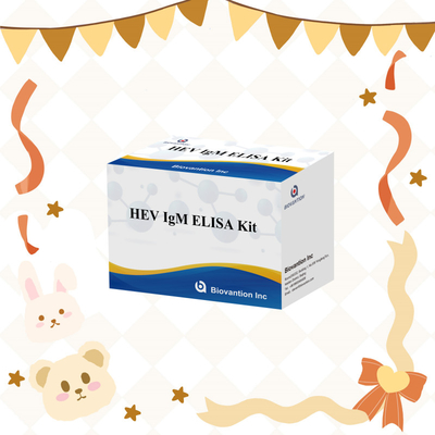 Kit Uji Elisa HEV-IgM yang Akurat dan Sensitif untuk Deteksi dan Analisis yang Tepat