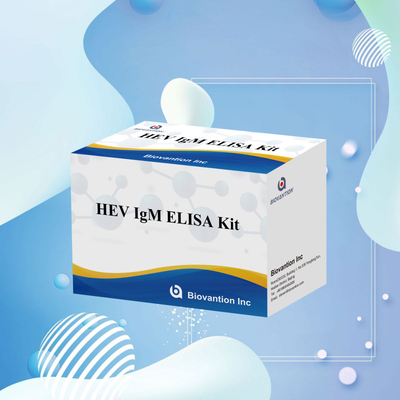 Kit Uji Elisa HEV-IgM yang Akurat dan Sensitif untuk Deteksi dan Analisis yang Tepat