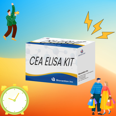 Reagen ELISA manusia CEA Kit Tes Elisa Kuantitatif Uji Darah Atau Serum 96T