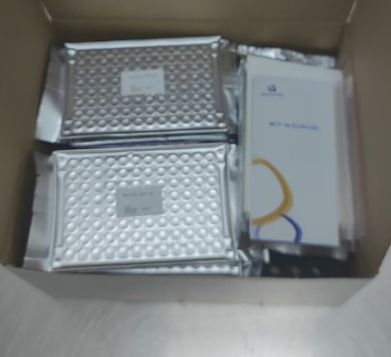 Anti HCV Antibodi Untuk Hepatitis C Virus Enzim Terkait Transportasi Waktu Pendek