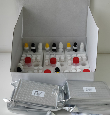Laboratorium atau Rumah Sakit High Accuracy H.Pylori IgG Elisa Test Kit