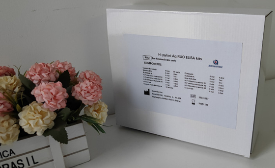 Laboratorium atau Rumah Sakit High Accuracy H.Pylori IgG Elisa Test Kit