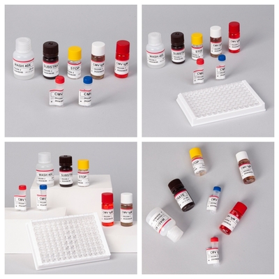 Enzim Reagen Immunoassay Elisa Test Kit untuk Deteksi Sitomegalovirus CMV Antibodi