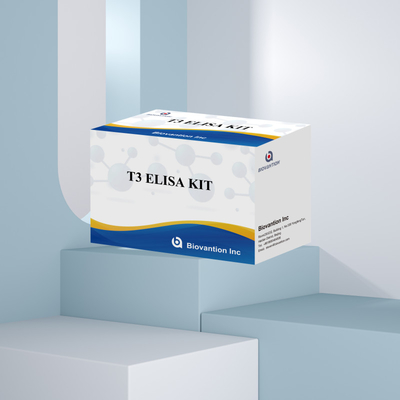 Kit uji Elisa yang sangat sensitif dan spesifik untuk deteksi kuantitatif T3 dalam serum manusia dengan waktu uji pendek